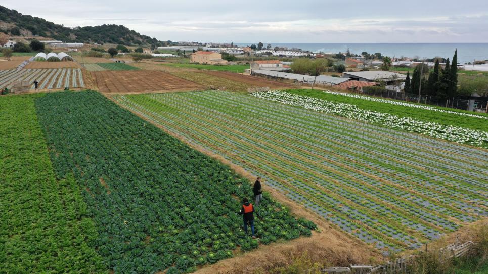 UDivulga's tweet photo. El @BETA_TechCenter pren part en el desenvolupament d’una nova norma ISO per quantificar les pèrdues i el malbaratament d’aliments. La participació del CT BETA en aquest procés s’emmarca dins del projecte europeu "#FOLOU".
https://t.co/zHSUcATtuD https://t.co/DUdmsc10jR