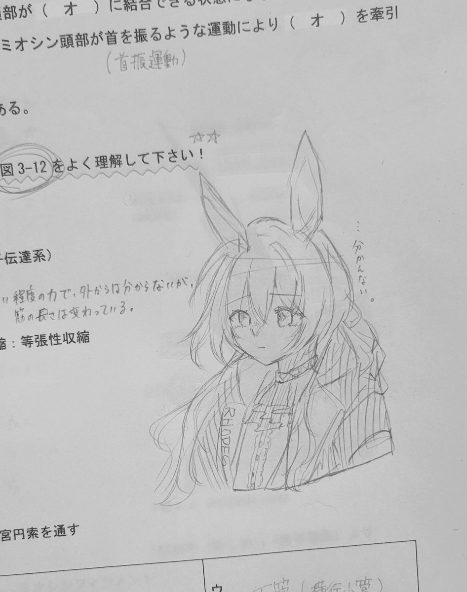 本日の授業プリント。