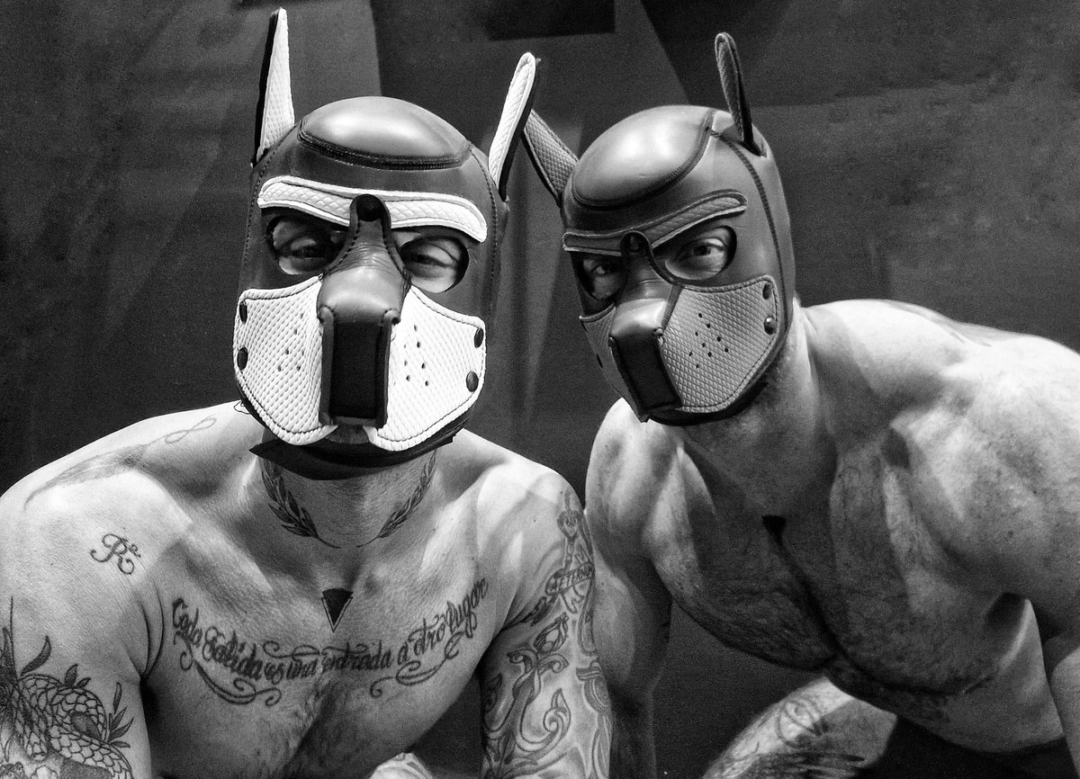 Puppy day for ONLYFANS
<a href="/stefvlc/">Stefvlc</a>