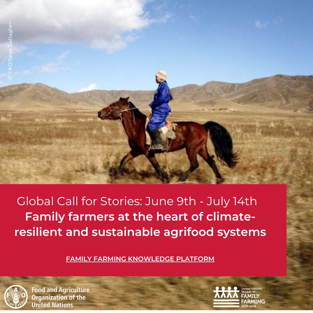 📢 Participate in the Global Call for Stories on how family farmers are leading the way in building climate-resilient &amp; sustainable agrifood systems👩‍🌾👨‍🌾

🗓️ until 14 JULY

🖥️ tinyurl.com/yazrvfft

#FamilyFarming #ClimateChange