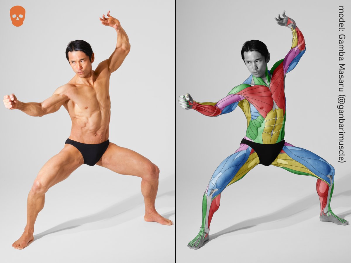 293
Model: 願羽マサル (<a href="/ganbarimuscle/">願羽マサル@ヌンチャク伝道師・パフォーマー</a>)