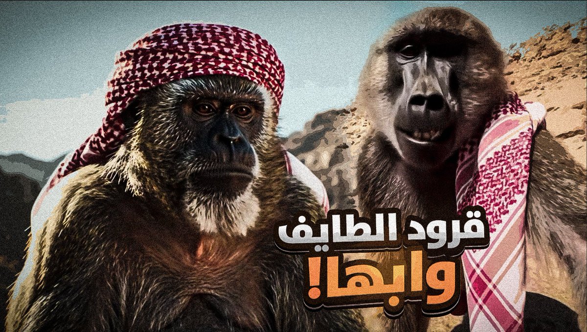 AMQ | عبدالله القحطاني tweet media