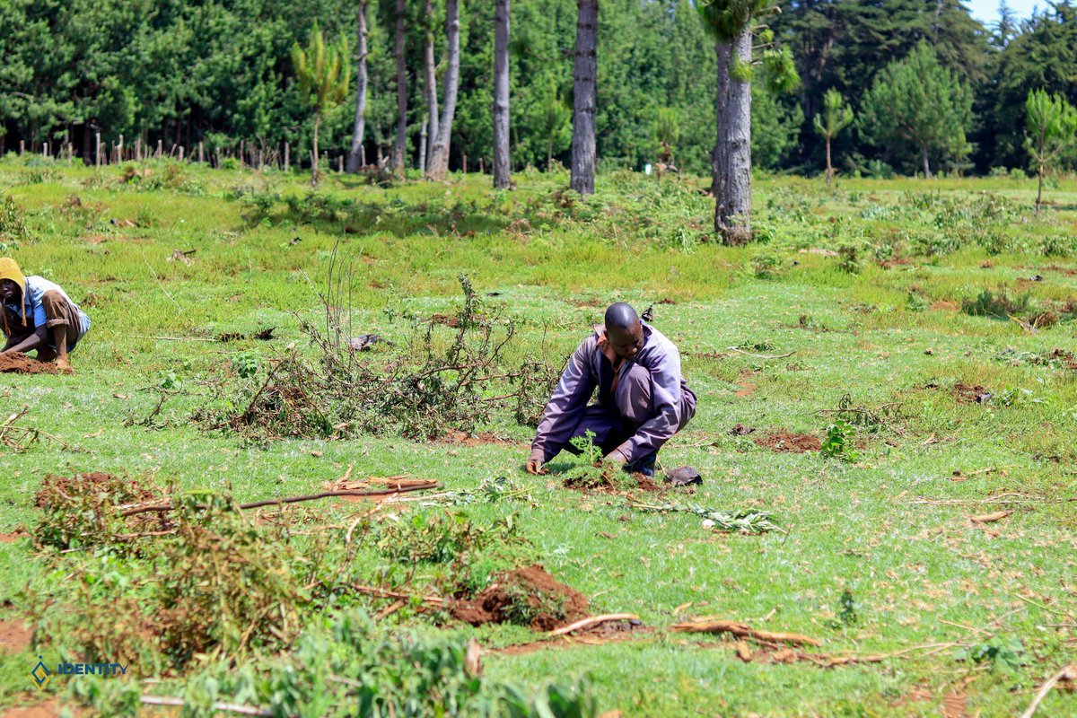 🌱 Kipkabus: Where Hope Takes Root 🌿
In the heart of Kipkabus, something beautiful happened. Not just the planting of trees—but the planting of purpose, unity, and resilience.
#GreenGeneration #Reforestation #ClimateAction #CommunityForClimate #Kipkabus100KTrees #ActForNature