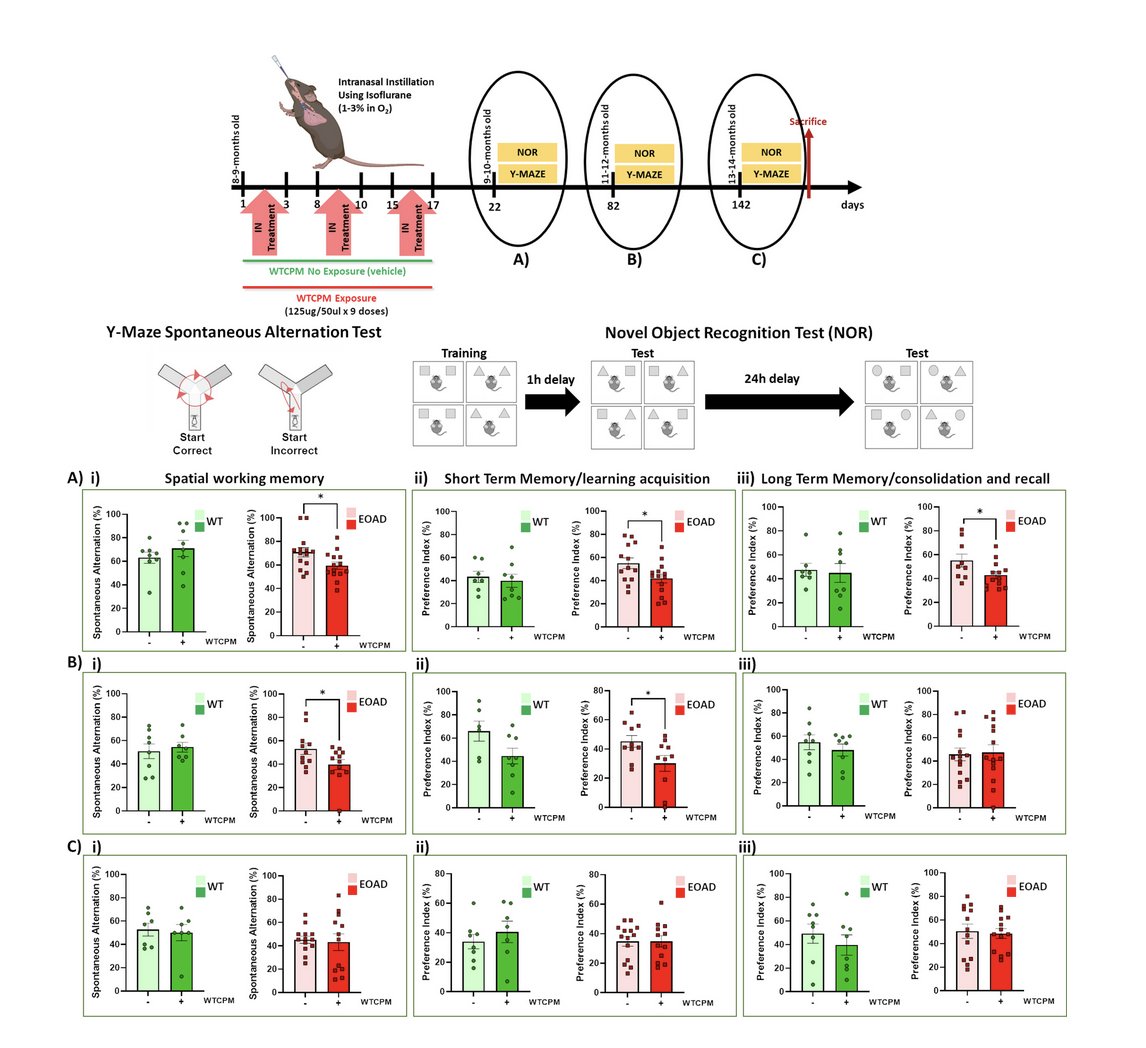 IcahnCMIN's tweet photo. THANK YOU @geoperry for selecting the #PasinettiLab study “Exposure to WTC Particulate Matter Alters Gut-Brain Axis in Early Onset of #AlzheimersDisease Mice” (https://t.co/zCIvB74PCu) as an Editor's Choice of "papers to watch from each issue" @journal_ad👉https://t.co/XVB3sipTdG https://t.co/j0t7ARSIXj