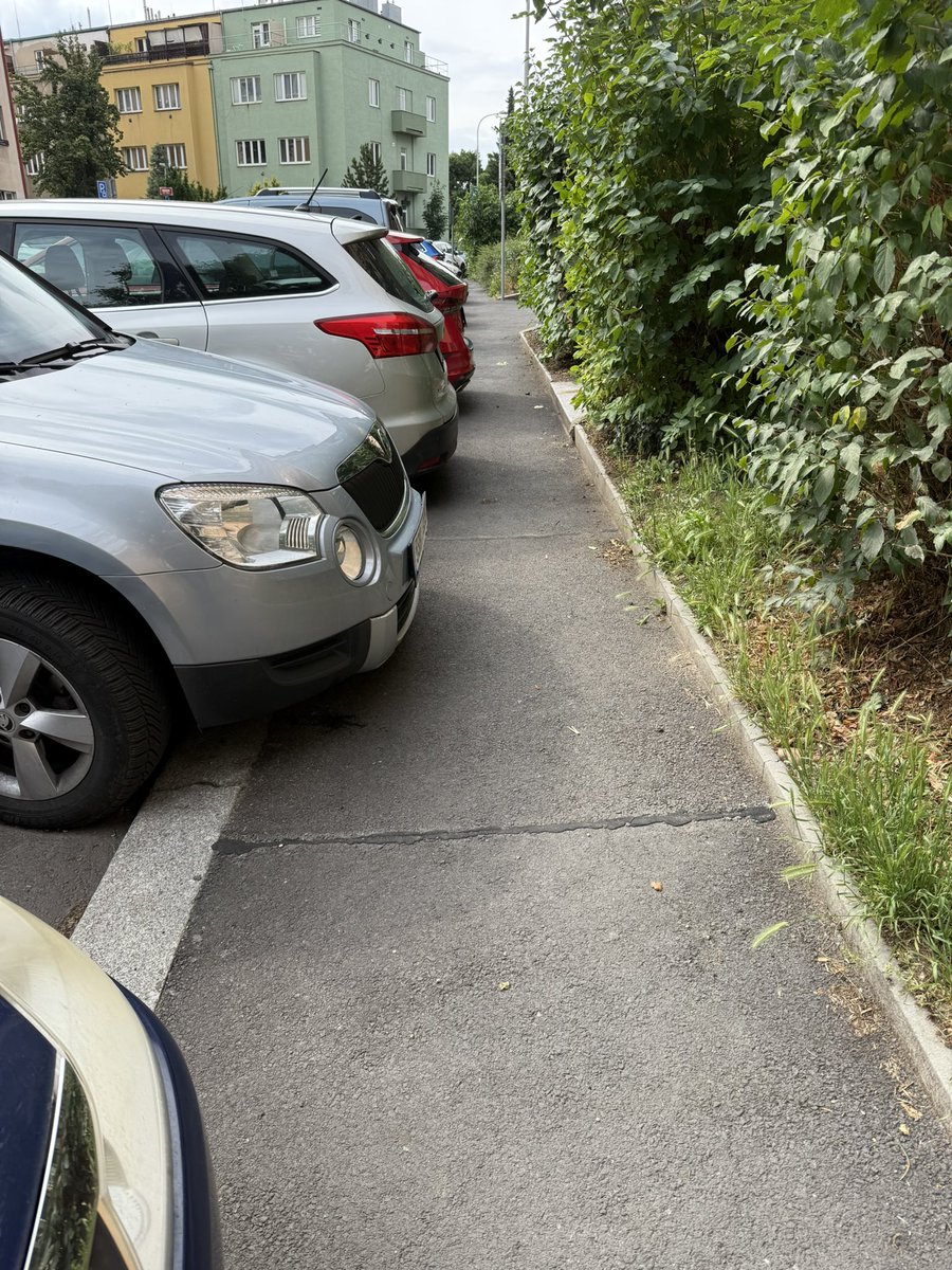 “chodník” počesku 💀
jako já jsem vcelku malé stvoření, ale i tak si musím místy zalézt do křoví. co má dělat třeba člověk s kočárkem, to netuším