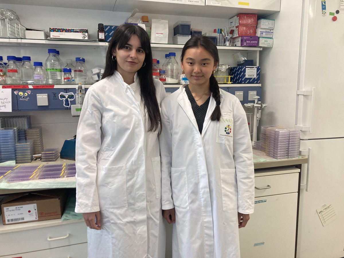 Silvia Vega-Rubín-de-Celis (@vega_rubin) on Twitter photo We welcome Teresa and Laura from the Universidad Autónoma de Madrid to our group for their summer internship! Thanks <a href="/SociedadCerfa/">Sociedad CERFA</a> for making this possible through your Traineeship program!
<a href="/SEFAGIA_/">SEFAGIA (Sociedad Española de Autofagia)</a> <a href="/unidue_zmb/">ZMB</a> <a href="/WAutophagy/">Women in Autophagy</a> <a href="/MedEssen/">Medizinische Fakultät Essen</a> <a href="/SEBBM_es/">SEBBM</a> We welcome Teresa and Laura from the Universidad Autónoma de Madrid to our group for their summer internship! Thanks <a href="/SociedadCerfa/">Sociedad CERFA</a> for making this possible through your Traineeship program!
<a href="/SEFAGIA_/">SEFAGIA (Sociedad Española de Autofagia)</a> <a href="/unidue_zmb/">ZMB</a> <a href="/WAutophagy/">Women in Autophagy</a> <a href="/MedEssen/">Medizinische Fakultät Essen</a> <a href="/SEBBM_es/">SEBBM</a>