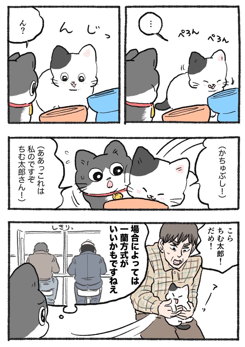 ねこに転生したおじさん。その738