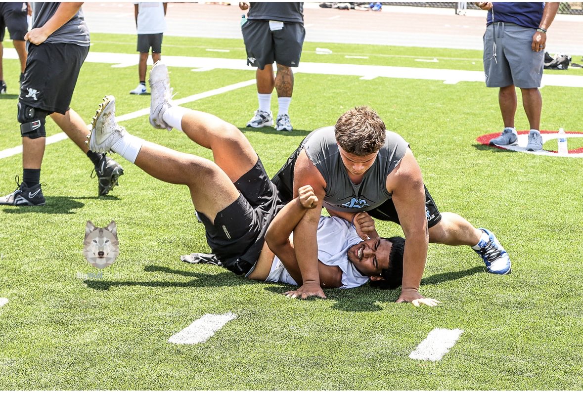 Tony Gomez tweet media