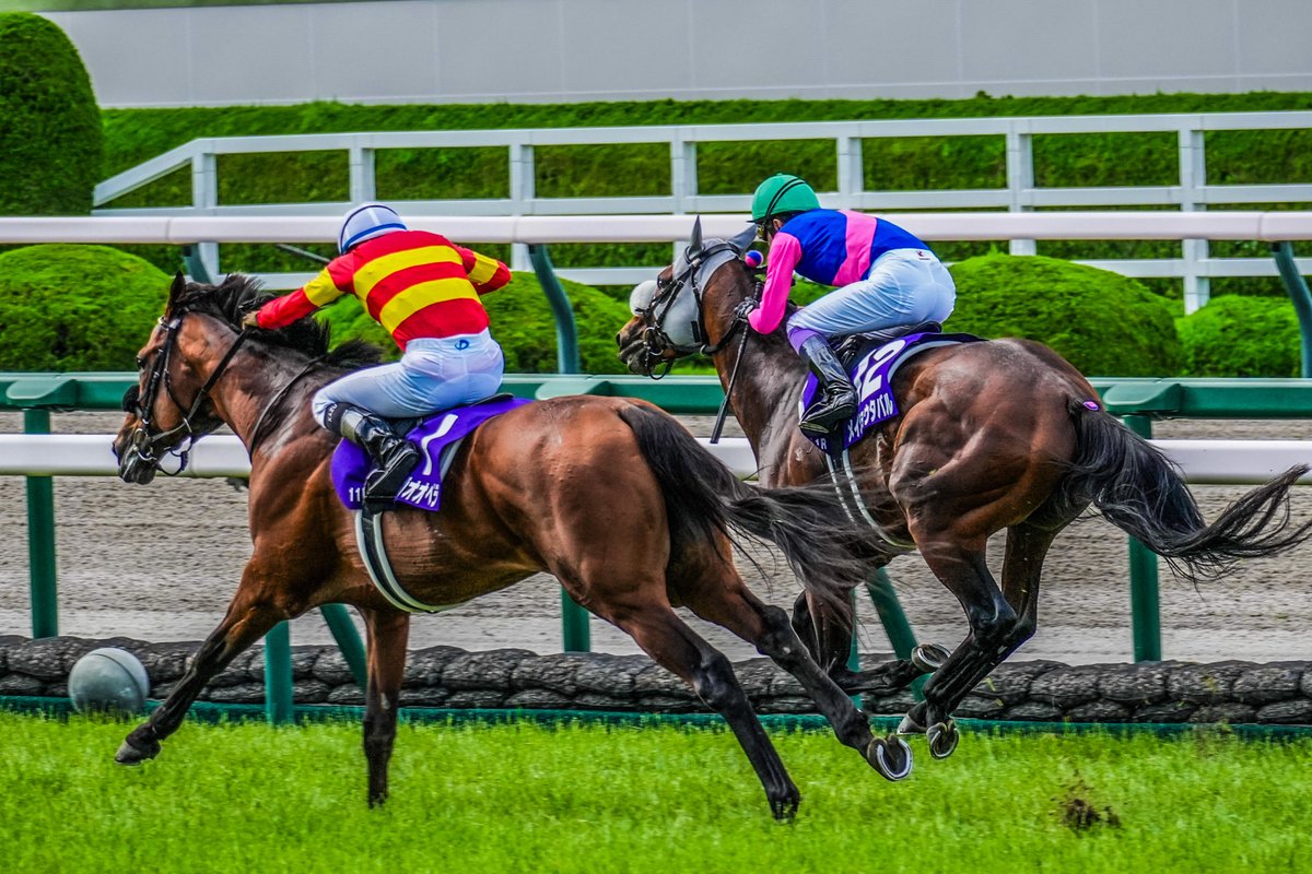teruteru_photo's tweet image. 惜敗の悔しさは秋にリベンジ

#ベラジオオペラ
#宝塚記念