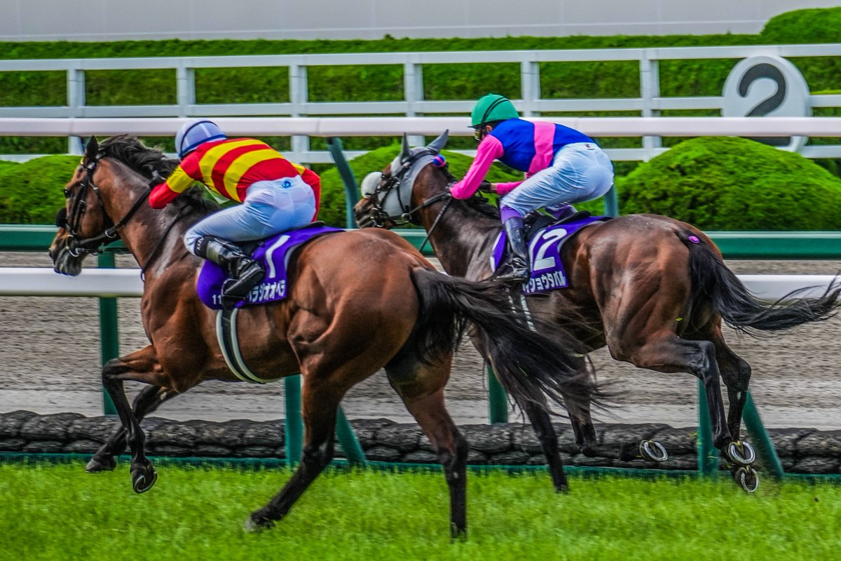 teruteru_photo's tweet image. 惜敗の悔しさは秋にリベンジ

#ベラジオオペラ
#宝塚記念