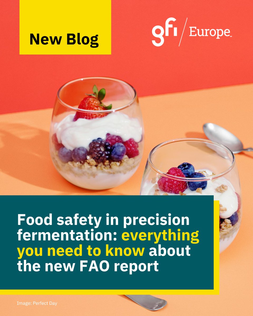 📋 What does the FAO say about food safety in precision fermentation?
Our latest blog examines the new FAO report, which demonstrates how existing food safety considerations and frameworks can be applied to precision fermentation.
💡 Read the key insights: gfieurope.org/blog/food-safe…