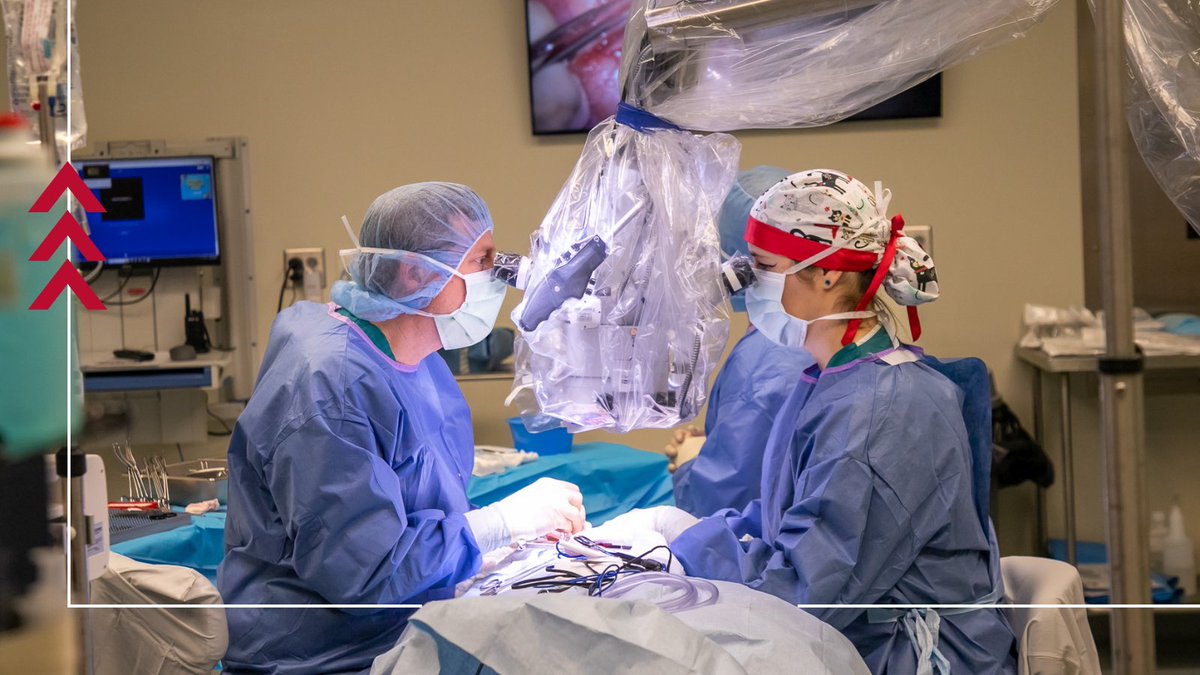 ugavetmed's tweet image. The 75th Anniversary Edition of The Aesculapian is here!
Inside you’ll find inspiring stories, including:
• Dr. Doris Miller’s 50-year legacy at UGA
• Advancing feline kidney transplants
• Sonny Perdue’s journey from veterinarian to Senator, Governor, now Chancellor