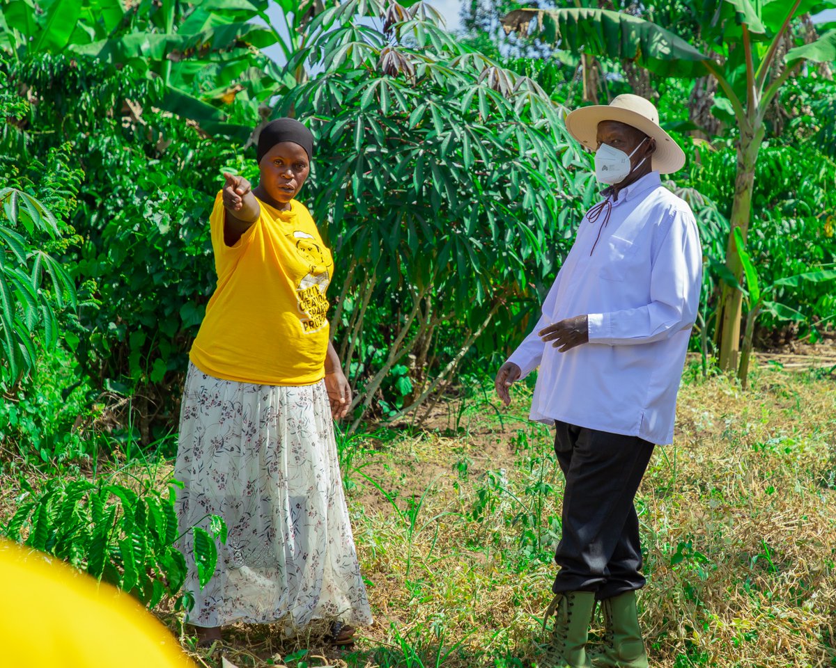 Anite__Evelyn's tweet image. Have you ever wondered why @KagutaMuseveni is going up to the ordinary citizens' homes? It's because that ordinary citizens has utilised the PDM 1m money well and is on his or her way out of poverty. If you want to be visited by the president be an example of poverty eradication.