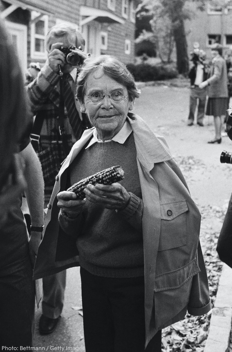 Pioneering scientist Barbara McClintock made discovery after discovery over the course of her long career in cytogenetics. But she is best remembered for discovering genetic transposition, “jumping genes”.