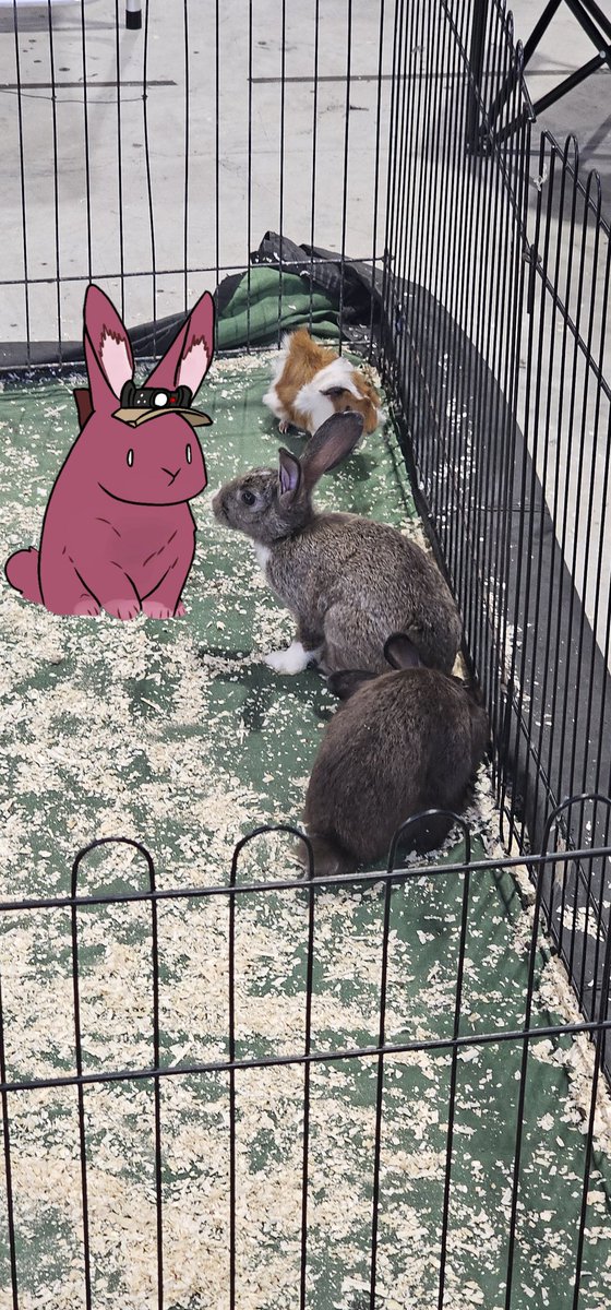 Luciatehe's tweet image. 