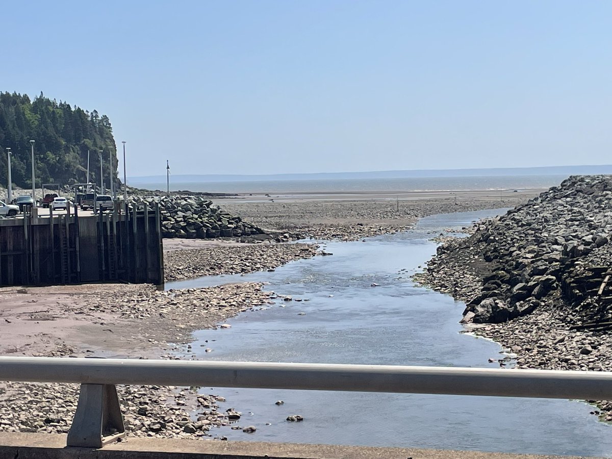 Pete’s Sweet Tweets tweet media