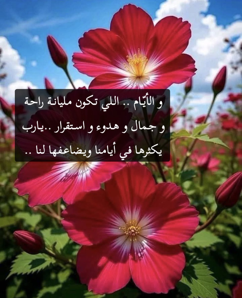 #رسائل_من_القلب 

و الأيّام .. اللي تكون مليانـة راحة 
و جمال و هدوء و استقرار ..يارب 
يكثرها .. في أيامنا ويضاعفها لنا "

#قهوة_المساء