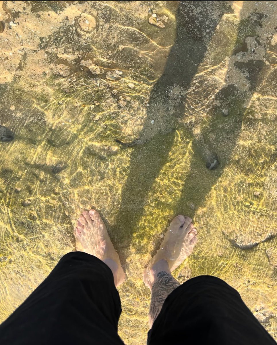 最近の僕はこちらです。