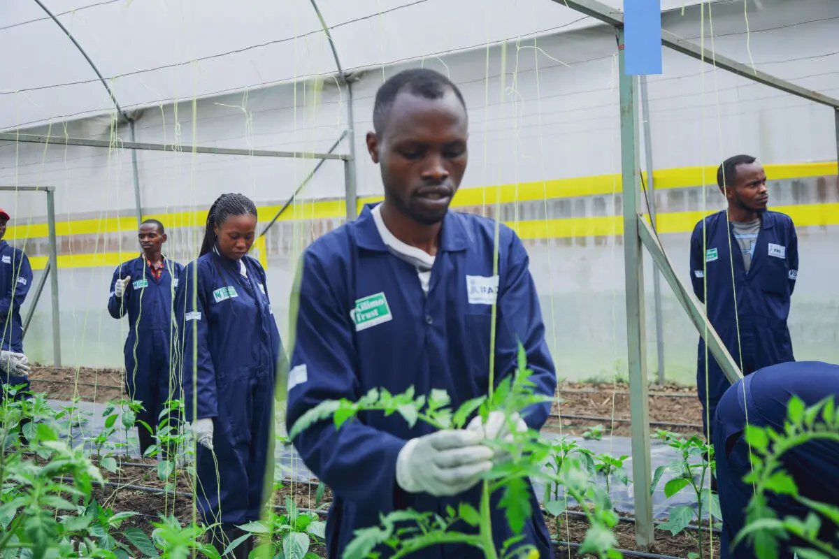 Lee_Fabricee's tweet image. 🚨GOOD NEWS🚨

Starting tomorrow, Kilimo Trust will officially launch the #RwandaRuralAgriStars campaign. 

This campaign is designed to highlight young entrepreneurs who have created profitable agribusiness ventures following the training they received through the…
