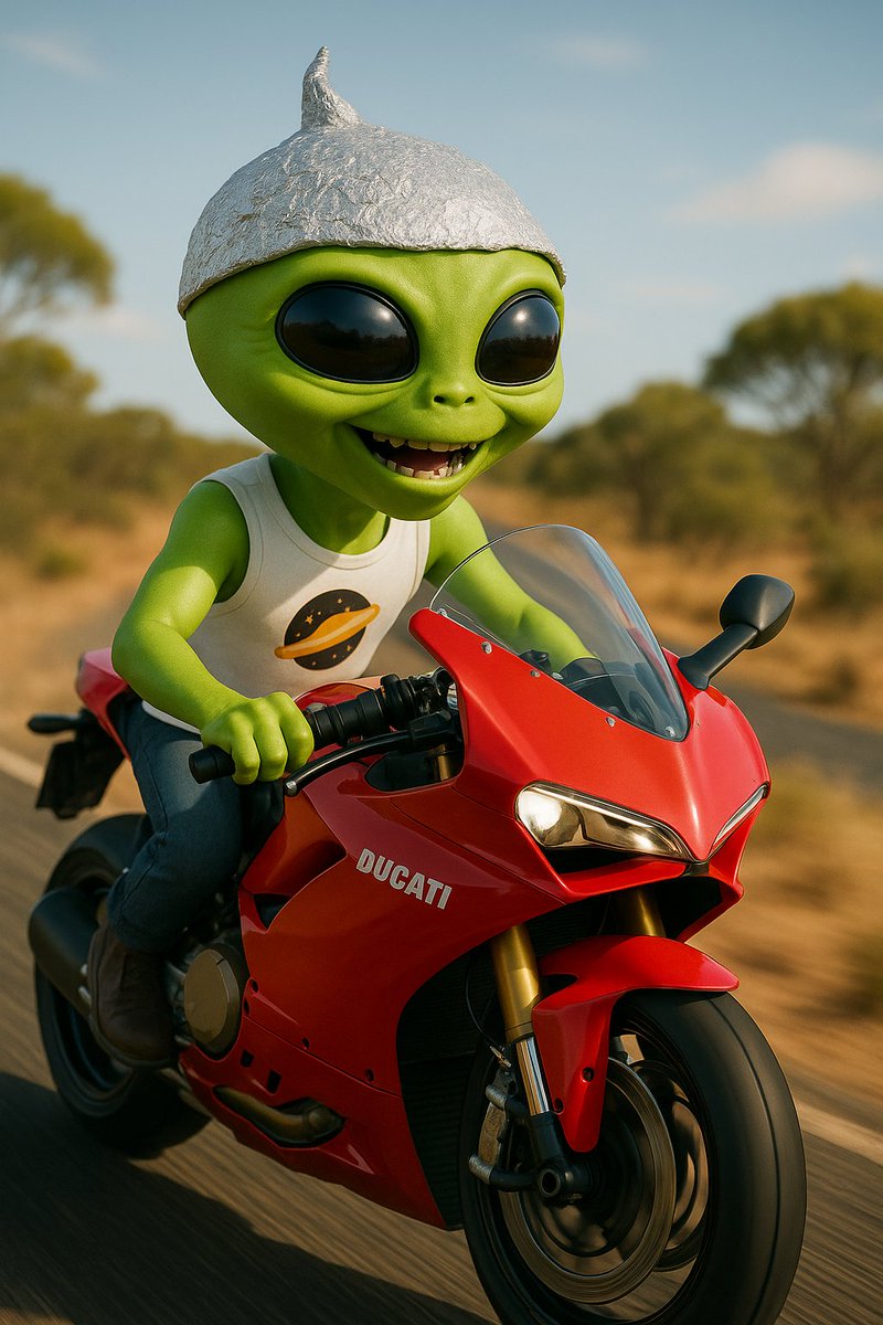 You've seen elf on a shelf...