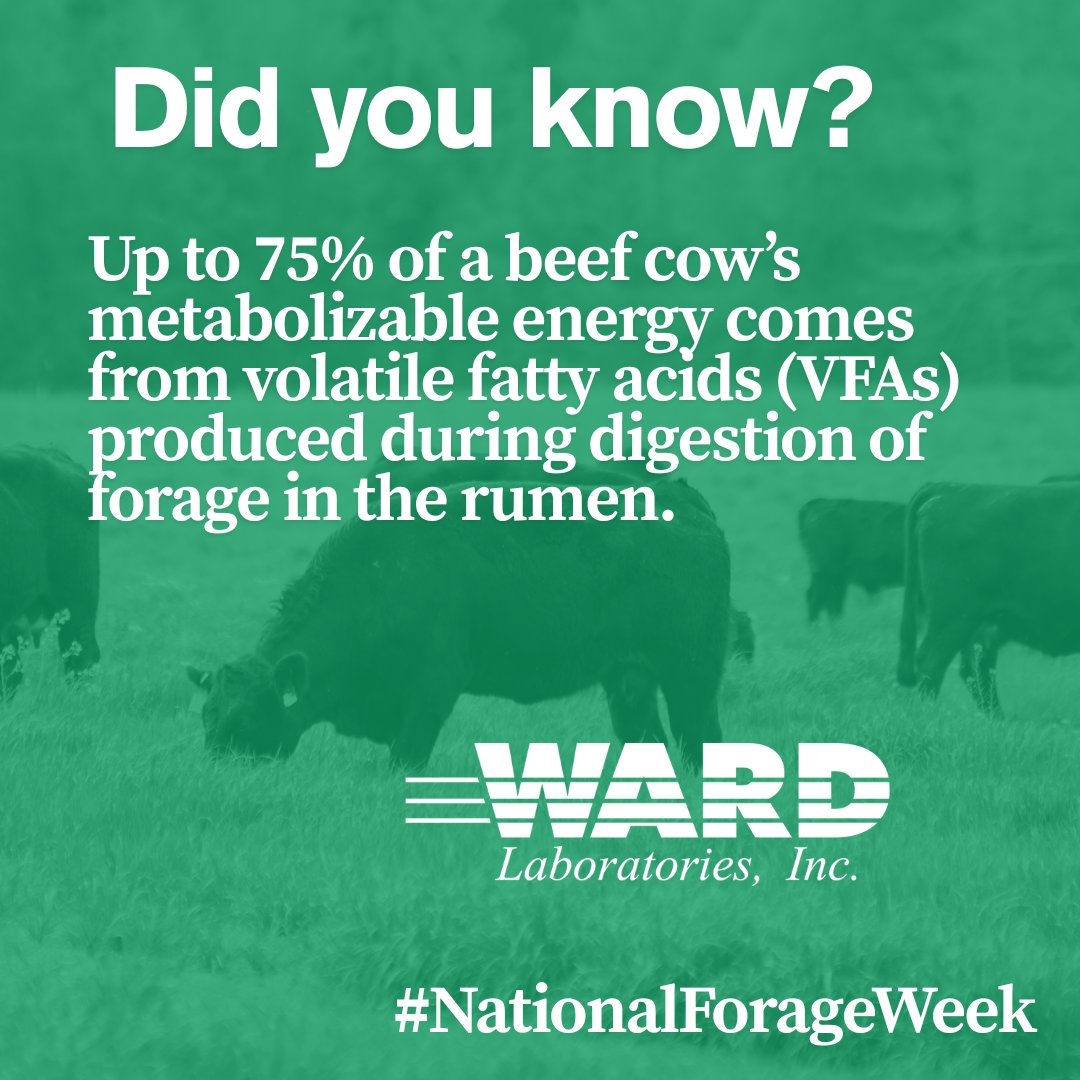 Ward Laboratories, Inc. tweet media