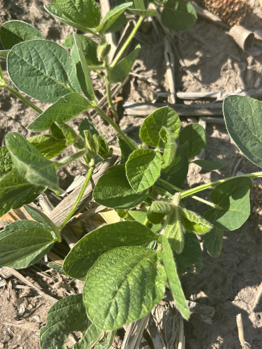 Garrett Kennedy tweet media