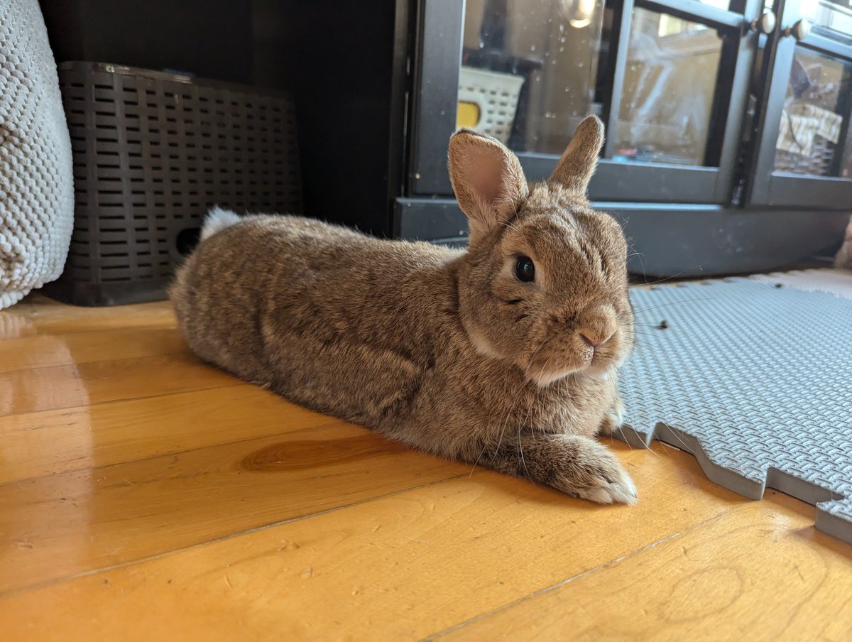almost perfect loaf ...