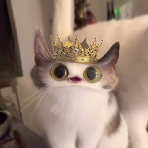 Infinite meme potential btw