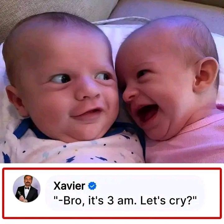 Best Xavier Memes That will make You laugh 😂🤣

Check thread 🧵👇