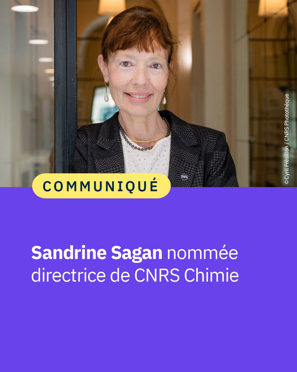 CNRS 🌍 (@cnrs) on Twitter photo #Communiqué 🗞️ Antoine Petit, président-directeur général du CNRS, nomme Sandrine Sagan, directrice de <a href="/CNRSchimie/">CNRS Chimie</a>, à compter du 16 juin 2025. Elle succède à Jacques Maddaluno, qui rejoint le Laboratoire d'archéologie moléculaire et structurale.
👉 cnrs.fr/fr/presse/sand… #Communiqué 🗞️ Antoine Petit, président-directeur général du CNRS, nomme Sandrine Sagan, directrice de <a href="/CNRSchimie/">CNRS Chimie</a>, à compter du 16 juin 2025. Elle succède à Jacques Maddaluno, qui rejoint le Laboratoire d'archéologie moléculaire et structurale.
👉 cnrs.fr/fr/presse/sand…