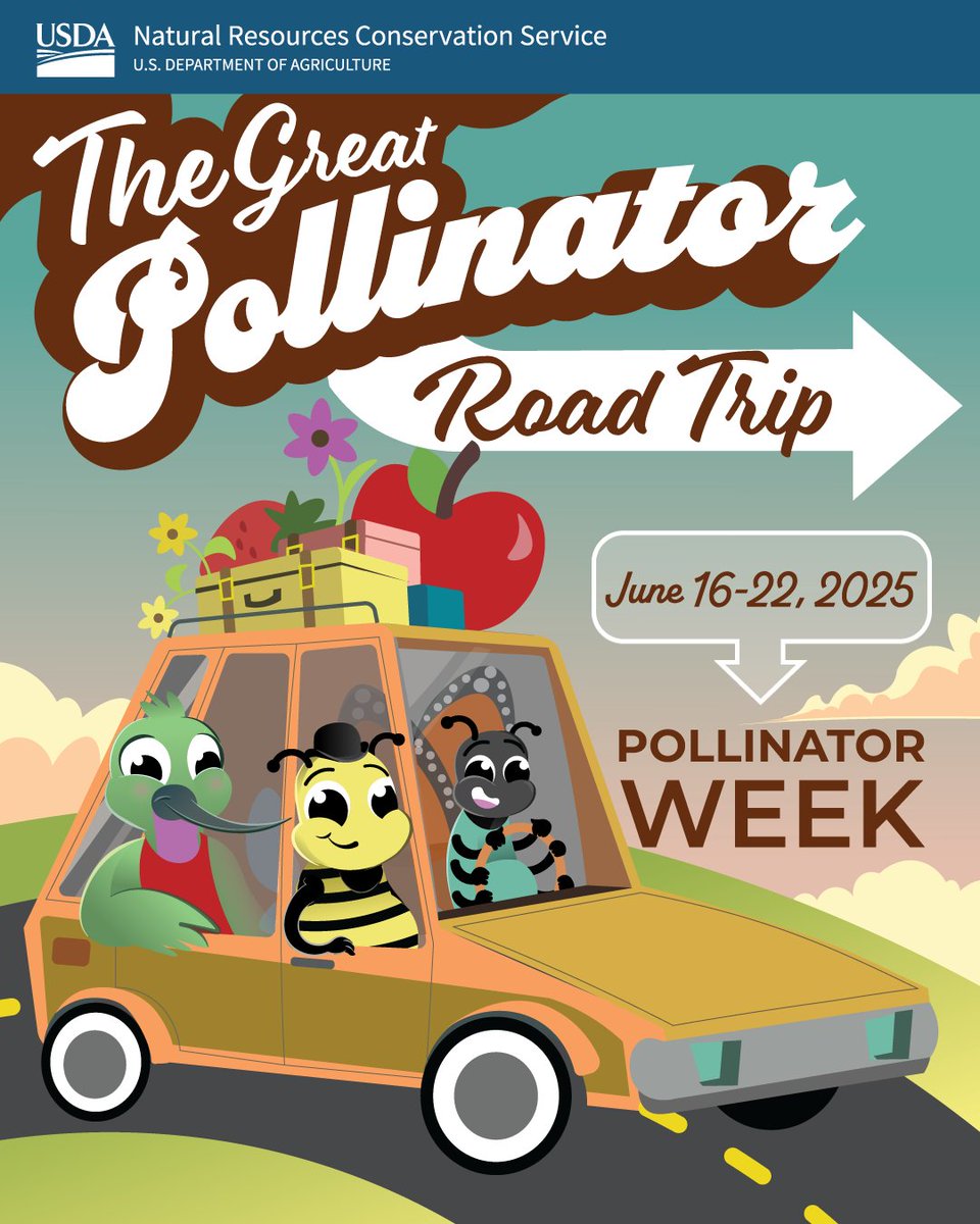 Buckle up, Pollinator Week is here! Join us for The Great Pollinator Road Trip June 16-22, as we hit the road and make scenic stops to celebrate the vital role pollinators play in our world. Follow along and see how these tiny travelers keep our world blooming. #PollinatorWeek