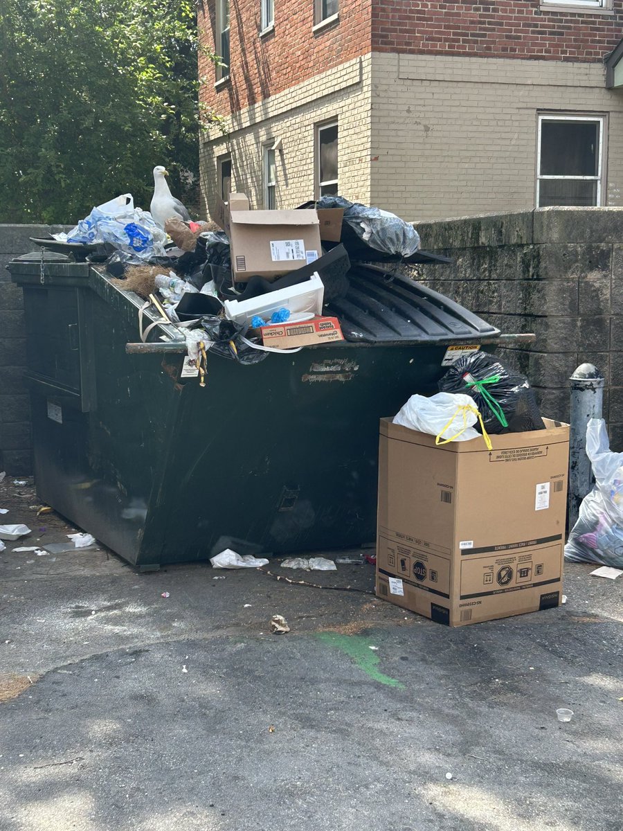 Ed Flynn 愛德華費連 tweet media