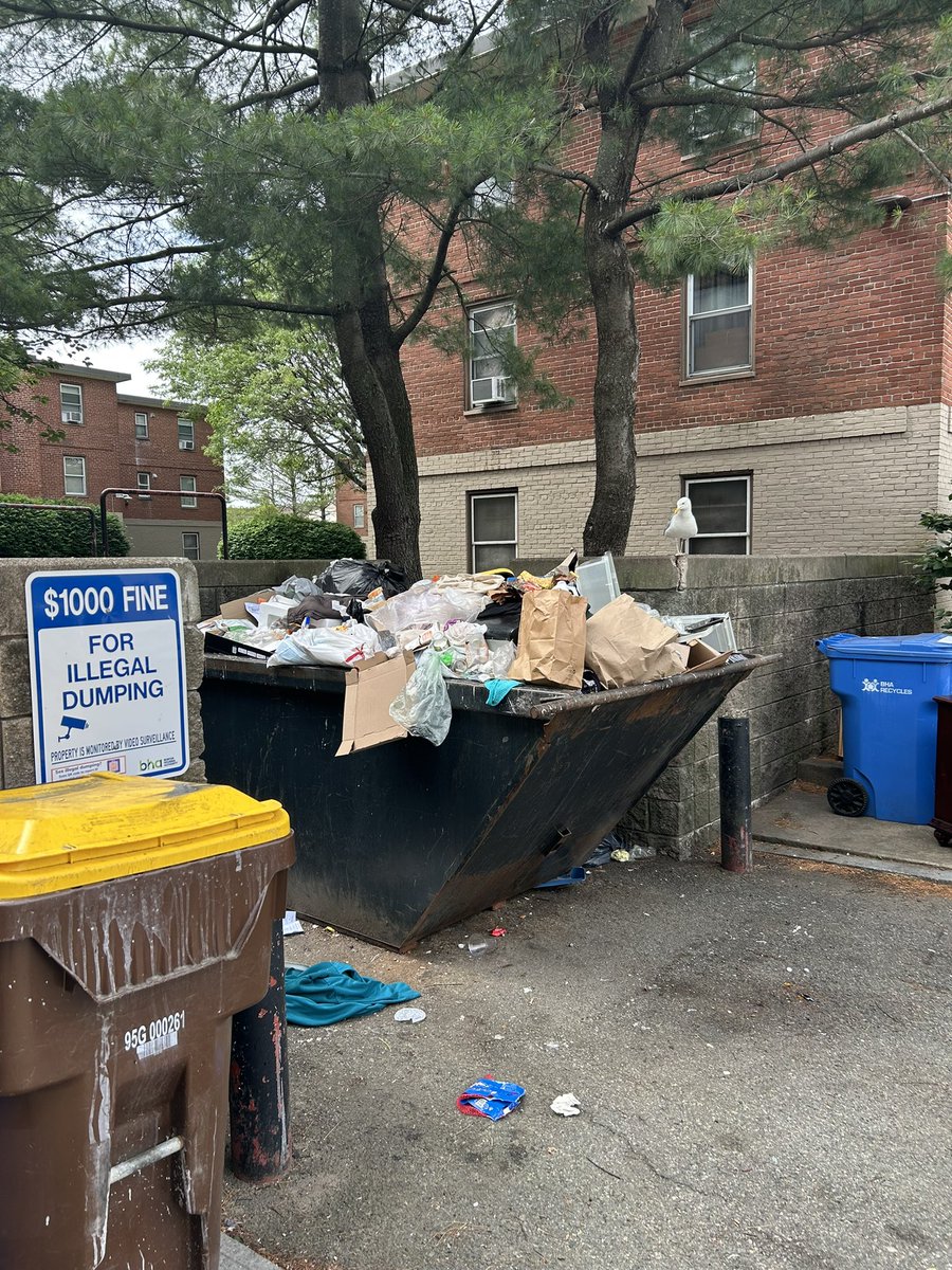 Ed Flynn 愛德華費連 tweet media