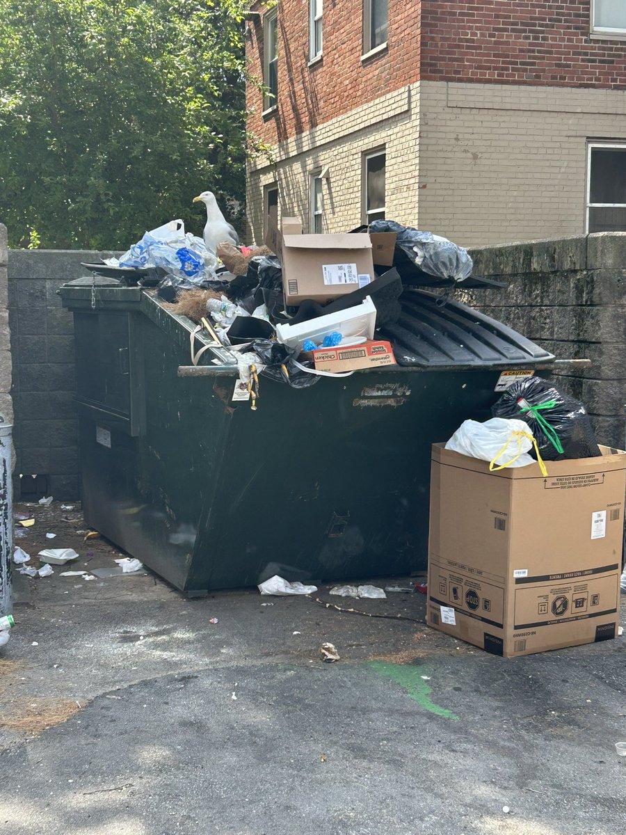 Ed Flynn 愛德華費連 tweet media