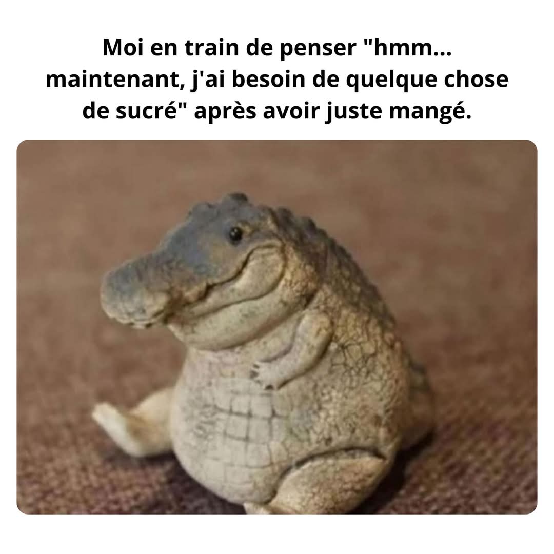 The Joconde 🐦 (@viedelajoconde) on Twitter photo 