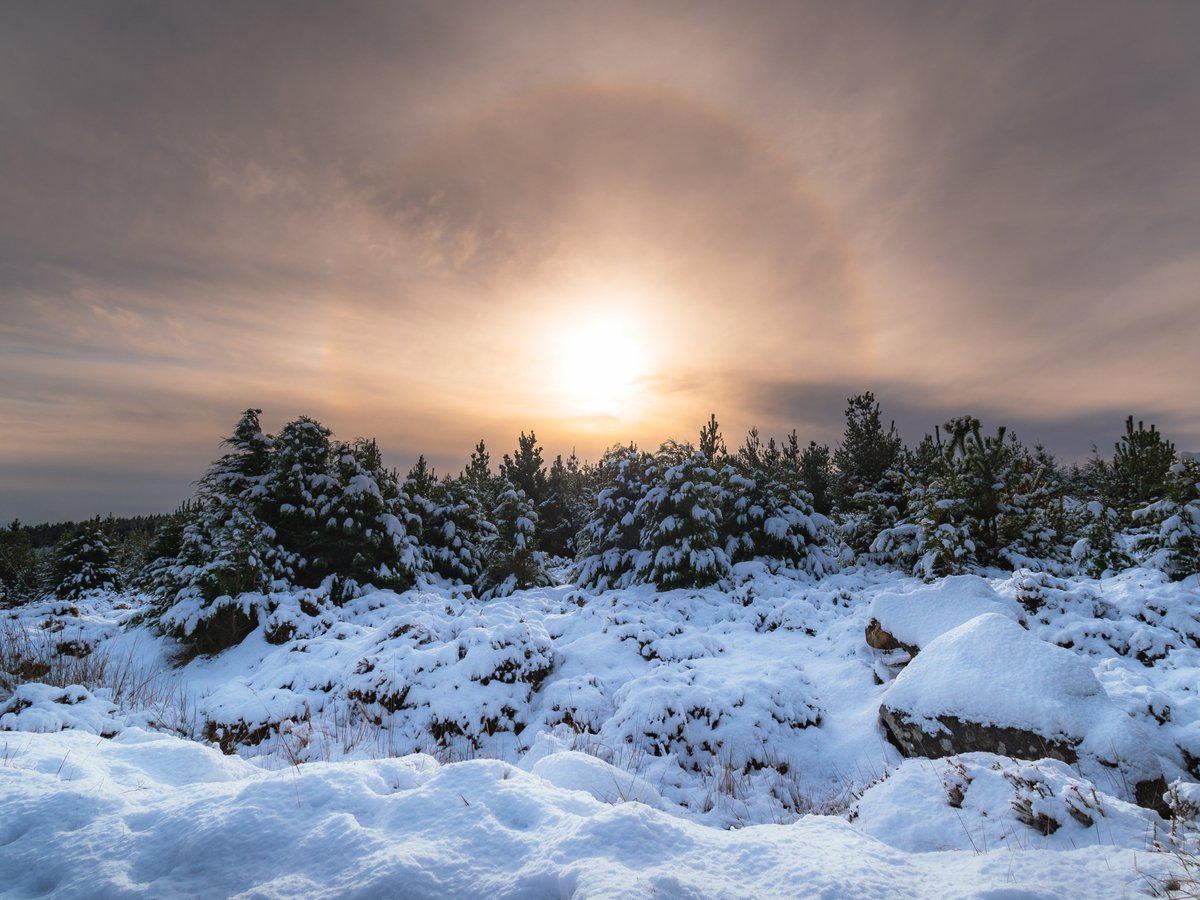 My entries to this year's Weather Photographer of the Year comp. 

Shelf cloud over Dublin Bay - May 2025
Lough Tay early season snow - November 2024
Sally Gap alpine - November 2024