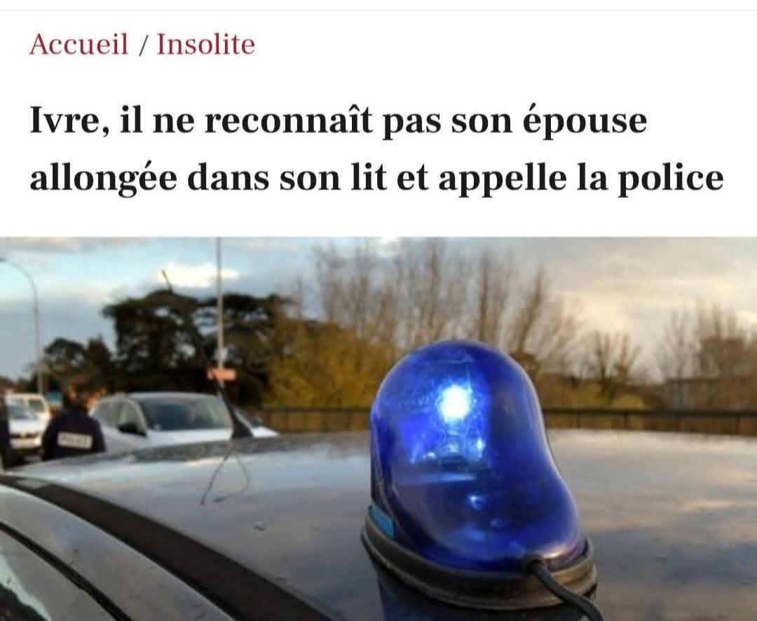 The Joconde 🐦 (@viedelajoconde) on Twitter photo 