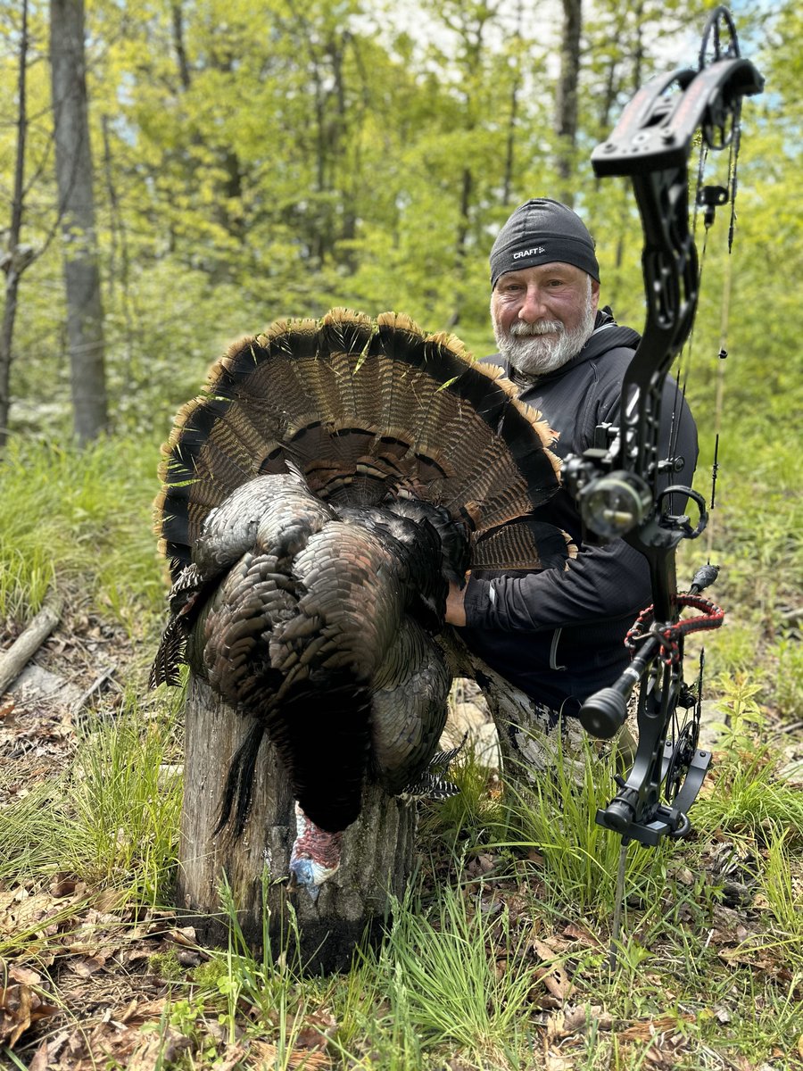 BlackEagleArrows tweet media