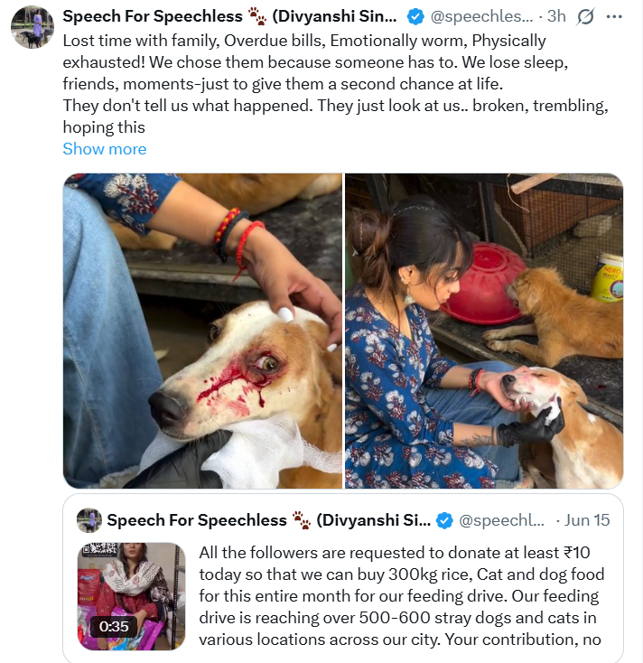 We’ve raised this issue multiple times, yet many are still falling for it.A fraudulent account, earlier named "Annie The Gone Girl", is now operating as "Speechless Kids" — falsely using the name of animal welfare to mislead kind-hearted people.They’ve changed their name several