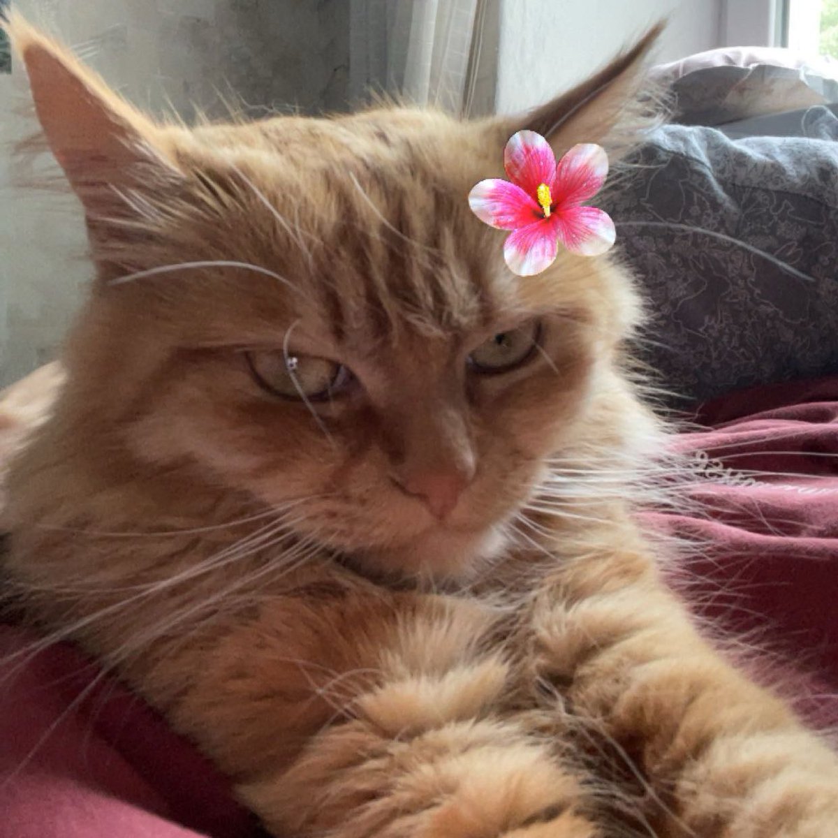 А ґроши будуть на збір?