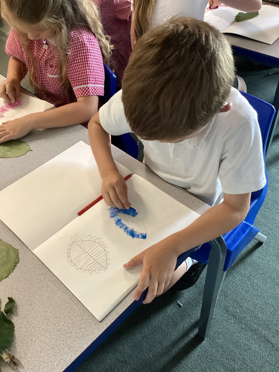 Elm Class (@tiselmclass) on Twitter photo Art week is finally here! Year 2 are exploring ‘TheWorld Through Our Eyes’. We explored our forest school and use leaves to make rubbings and observational drawings. Year 2 really impressed me with their concentration during their continuous line drawing. Wow! <a href="/TownvilleIS/">Townville Academy</a> 🤩🎨🍃 Art week is finally here! Year 2 are exploring ‘TheWorld Through Our Eyes’. We explored our forest school and use leaves to make rubbings and observational drawings. Year 2 really impressed me with their concentration during their continuous line drawing. Wow! <a href="/TownvilleIS/">Townville Academy</a> 🤩🎨🍃