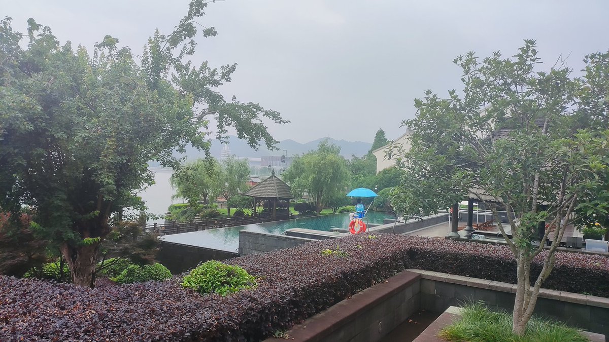 steady77 tweet media