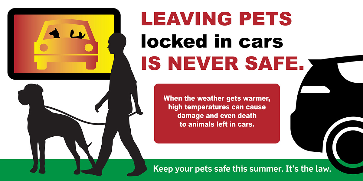 511PAPhilly's tweet image. Taking your cat to work today for #NationalTakeYourCattoWorkDay? Remember to never leave your furry friend in the car! Summer temperatures can cause the temperature in your vehicle to rise quickly to dangerous levels. 😺