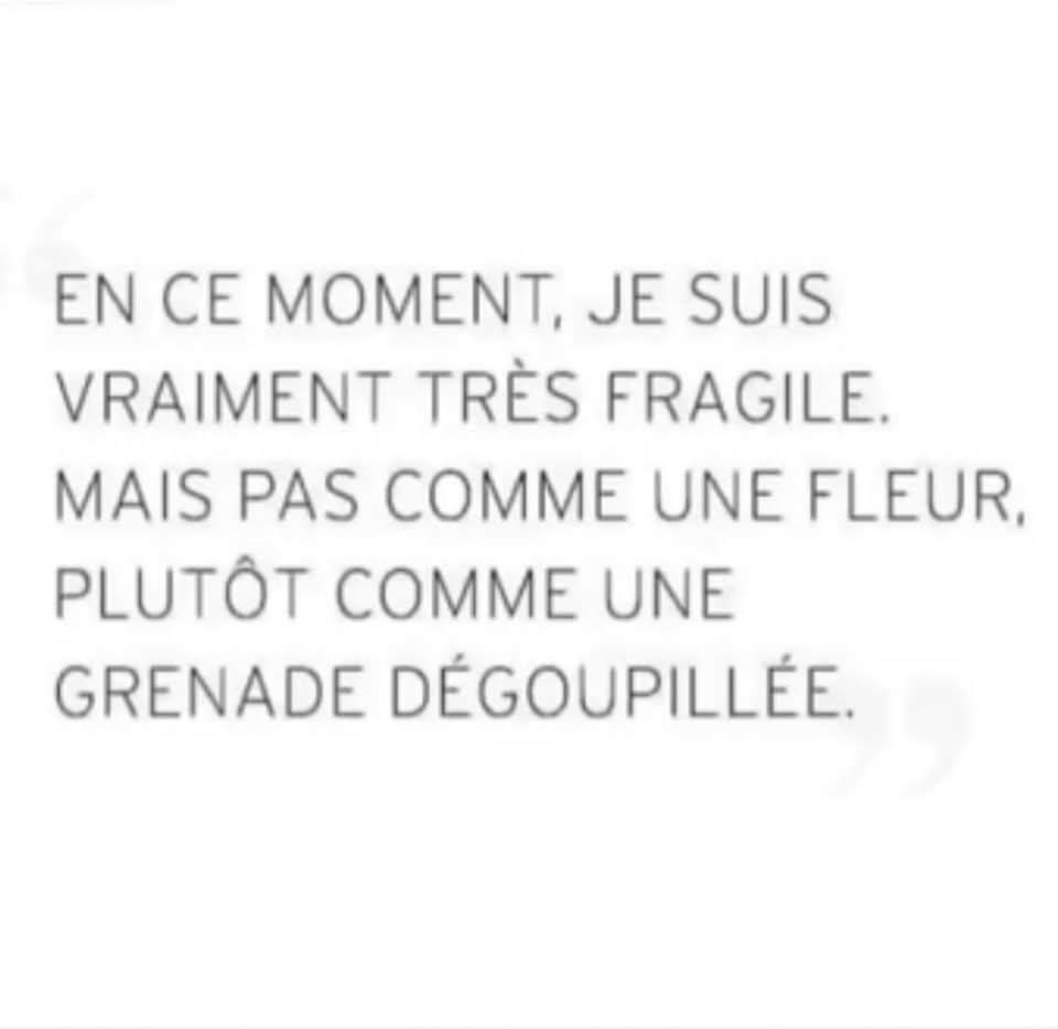 The Joconde 🐦 (@viedelajoconde) on Twitter photo 