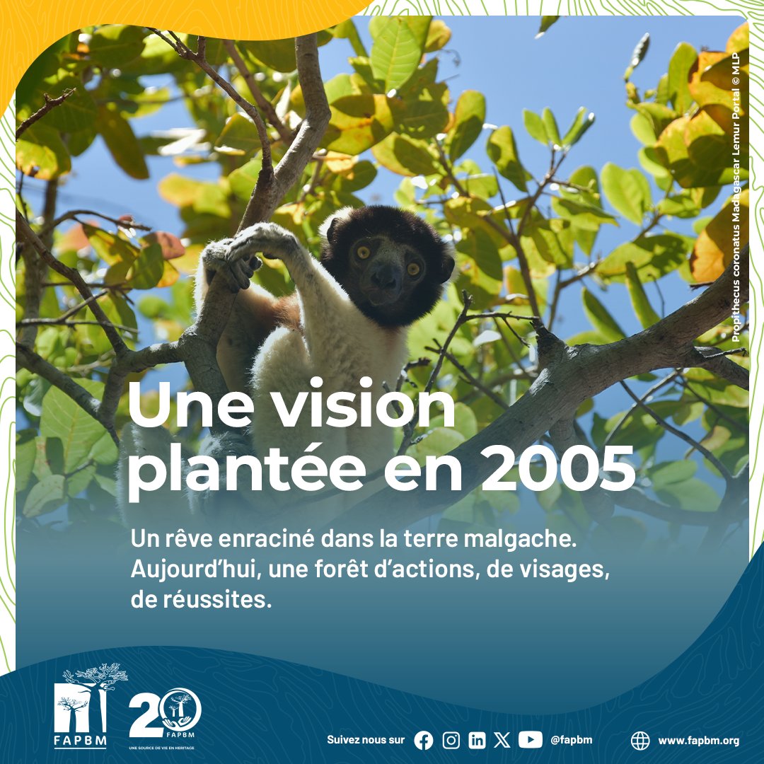🌿 20 years of impact.
A vision rooted in Madagascar has become a living forest of actions &amp; hope.
💚 $157M invested
🌍 75 Protected Areas
🦎 500 endemic species
👩‍🌾 3,340 jobs
🌾 31 value chains
👨‍👩‍👧 49,181 lives transformed
➡️ Join us: fapbm.org/contribuer
#FAPBM20Years