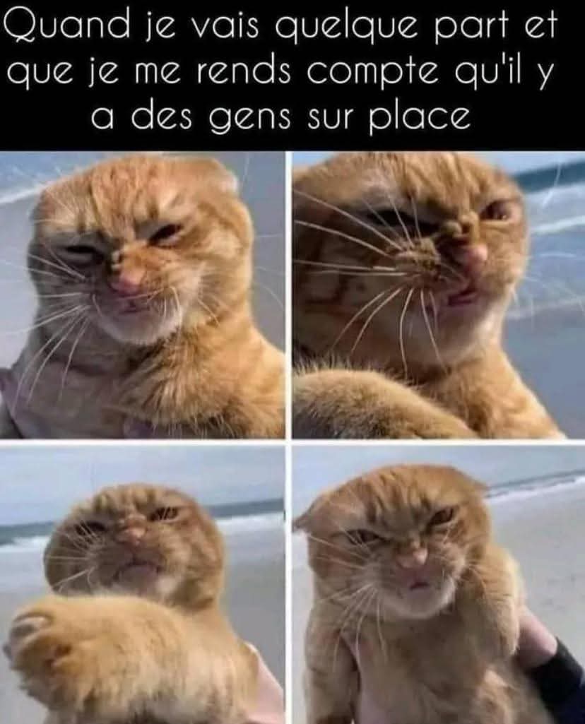 The Joconde 🐦 (@viedelajoconde) on Twitter photo 