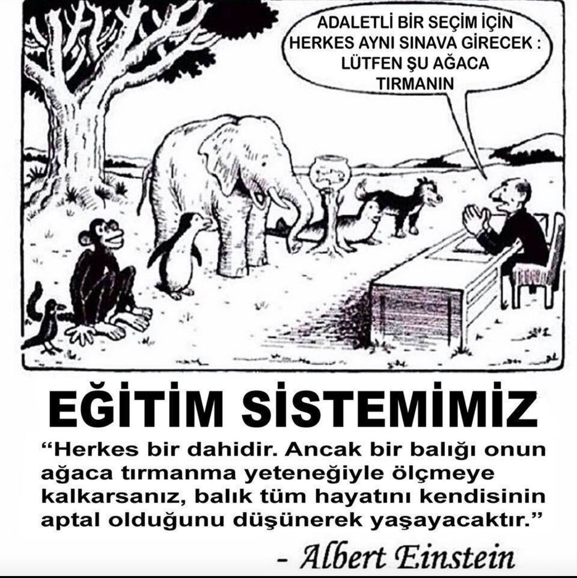 MEB,YÖK ve ÖSYM’nin yaptığı  işte tam da bu!Hem de yarım asırdır! 
İstediğimiz bu mu?
Hadi onlar yapıyor,eğitim bilimciler,çocukları gözlerinin önüde mum gibi eriyen velilerimiz,üniversiteler ve diğer kurumlar nerede? Seyretmekten bıkmadık mı?
Çocuklarımız hani başımızın tacıydı?