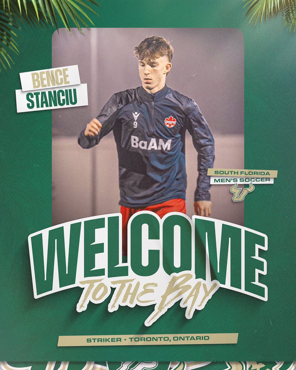 USFMSOC's tweet image. Welcome to The Bay 🏝️ Bence Stanciu!

#HornsUp🤘