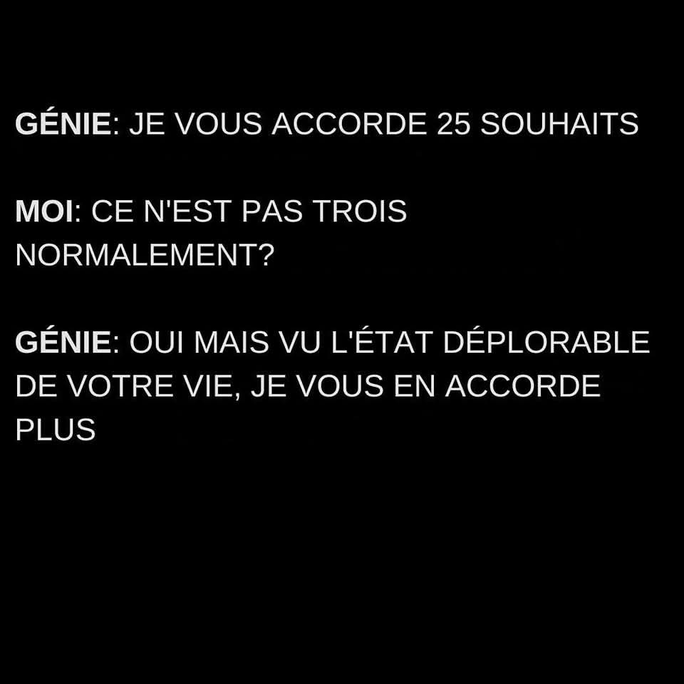 The Joconde 🐦 (@viedelajoconde) on Twitter photo 