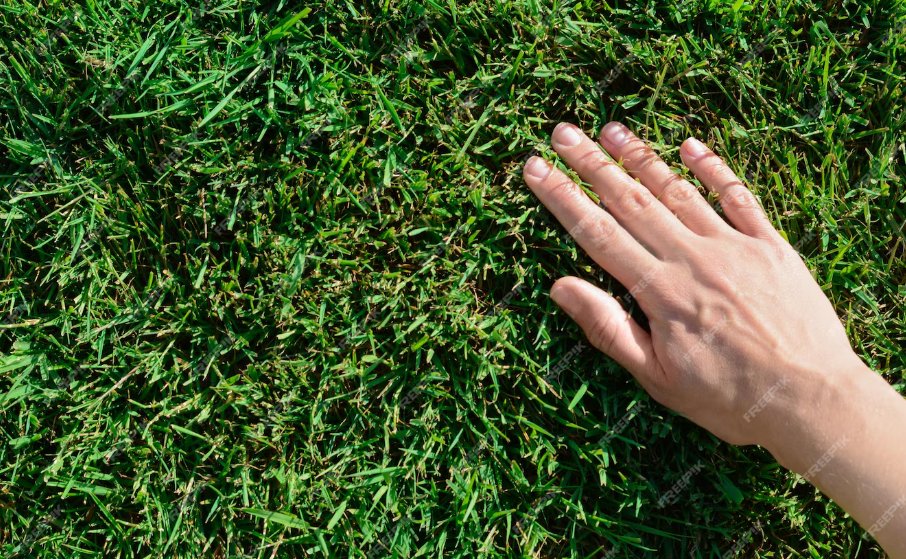 #openseatouchgrass this weekend